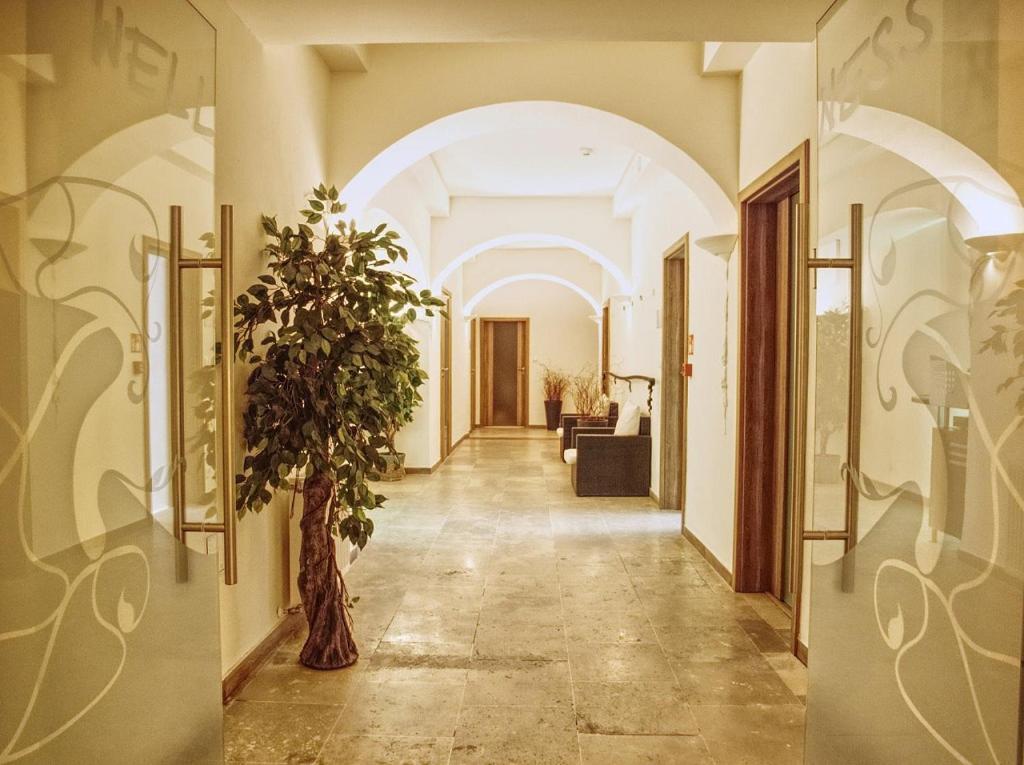 Hotel Restauracja Caspar 耶莱尼亚古拉 外观 照片